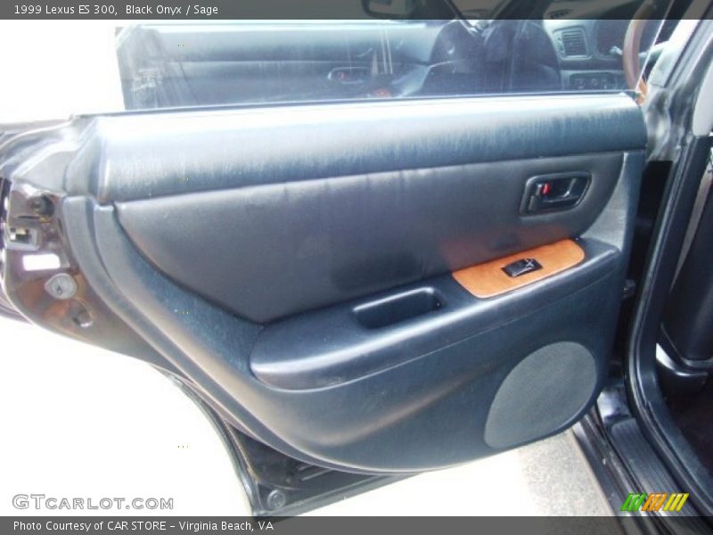 Black Onyx / Sage 1999 Lexus ES 300
