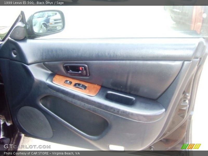 Black Onyx / Sage 1999 Lexus ES 300