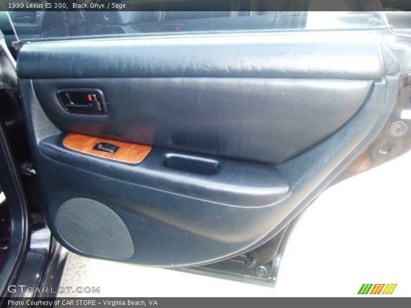 Black Onyx / Sage 1999 Lexus ES 300