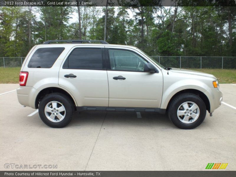 Gold Leaf Metallic / Camel 2012 Ford Escape XLT