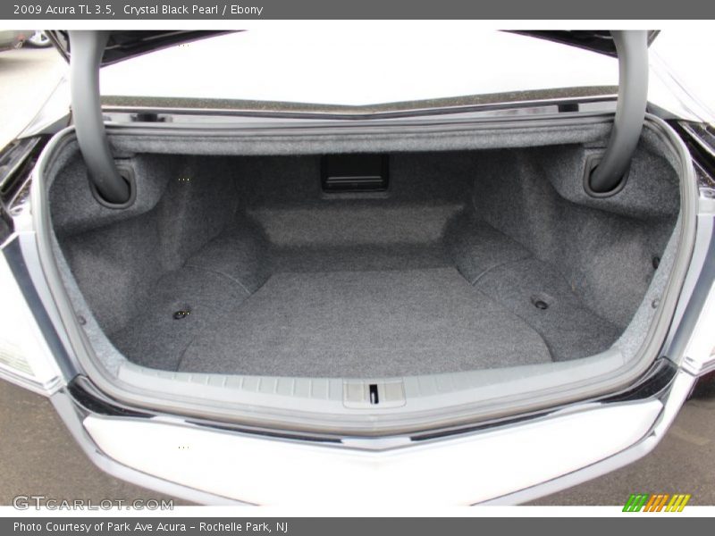 Crystal Black Pearl / Ebony 2009 Acura TL 3.5