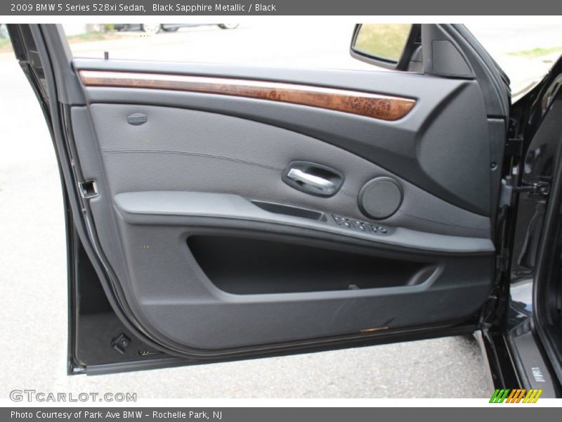 Door Panel of 2009 5 Series 528xi Sedan