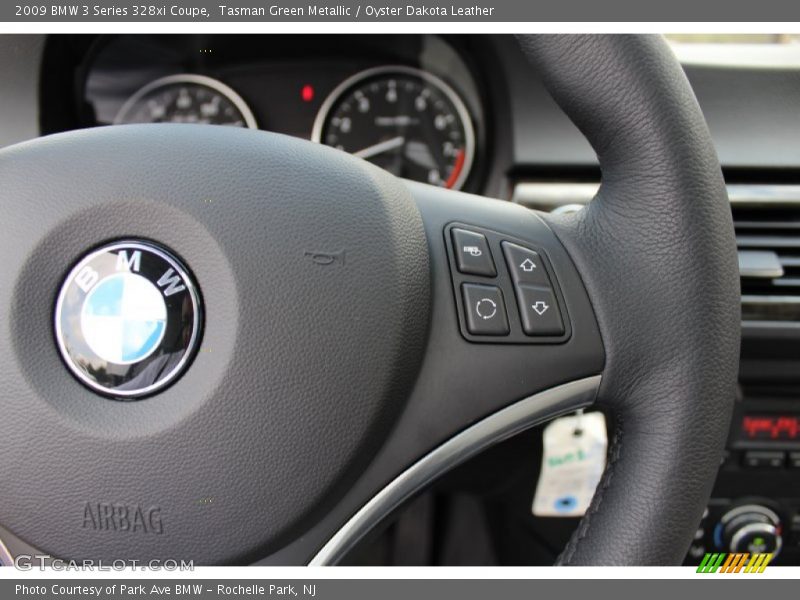 Tasman Green Metallic / Oyster Dakota Leather 2009 BMW 3 Series 328xi Coupe