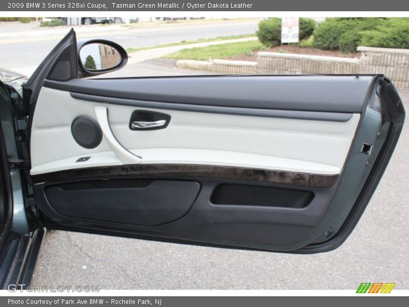 Door Panel of 2009 3 Series 328xi Coupe