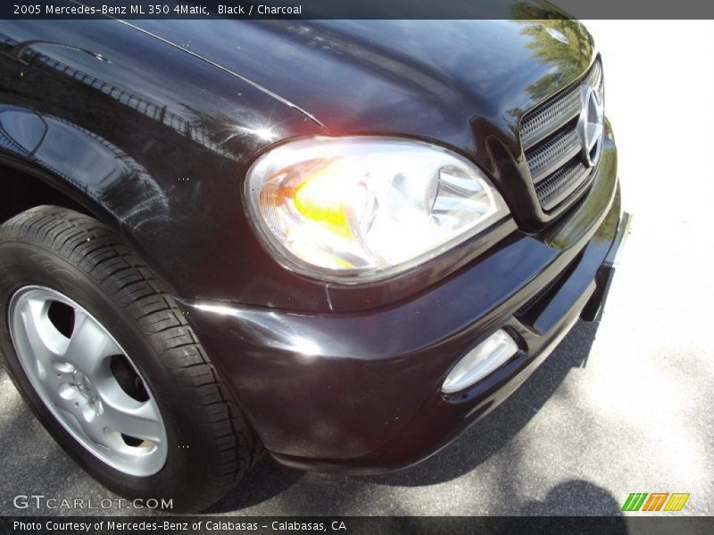 Black / Charcoal 2005 Mercedes-Benz ML 350 4Matic