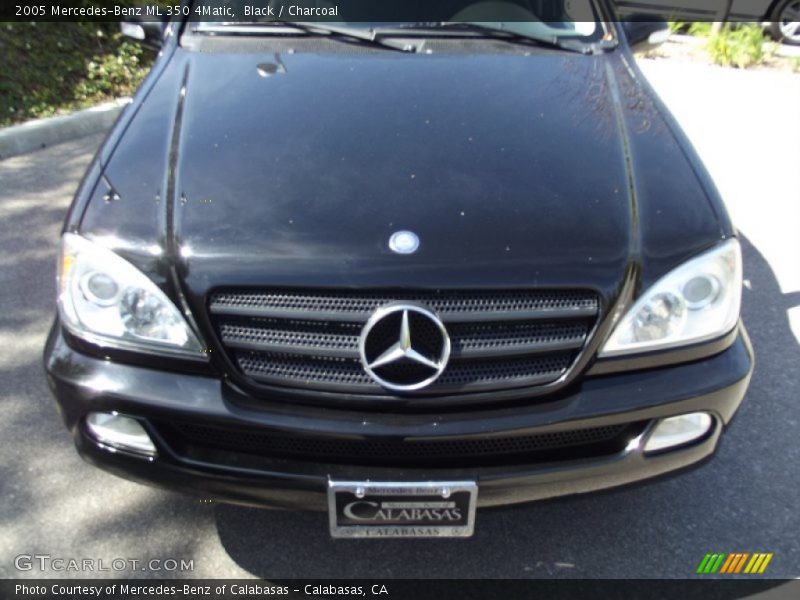 Black / Charcoal 2005 Mercedes-Benz ML 350 4Matic