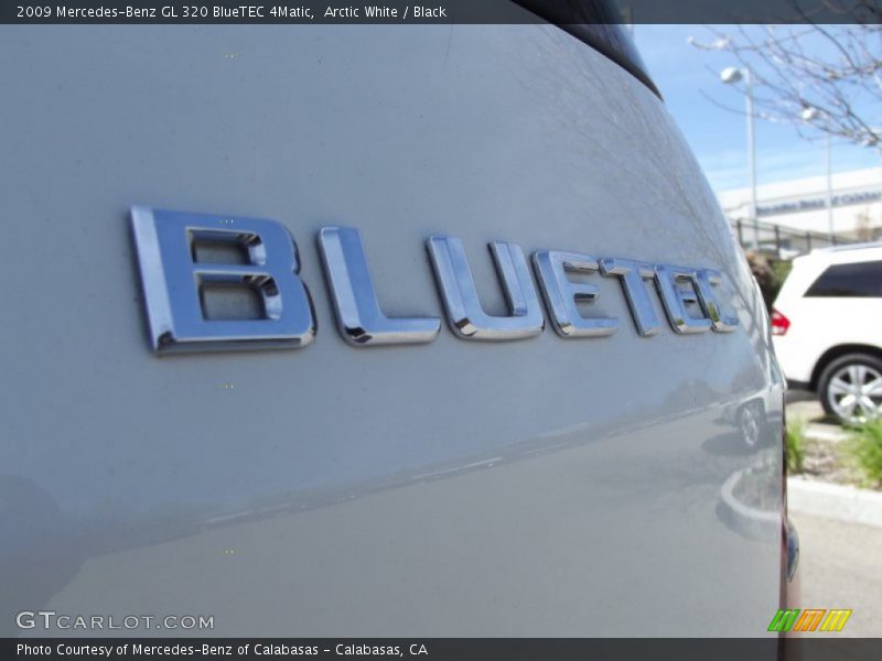 Arctic White / Black 2009 Mercedes-Benz GL 320 BlueTEC 4Matic