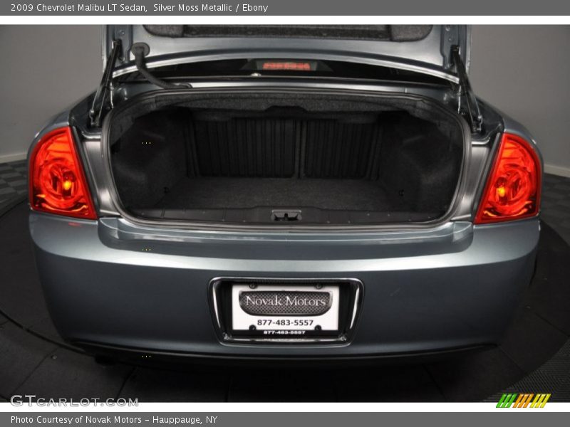 Silver Moss Metallic / Ebony 2009 Chevrolet Malibu LT Sedan