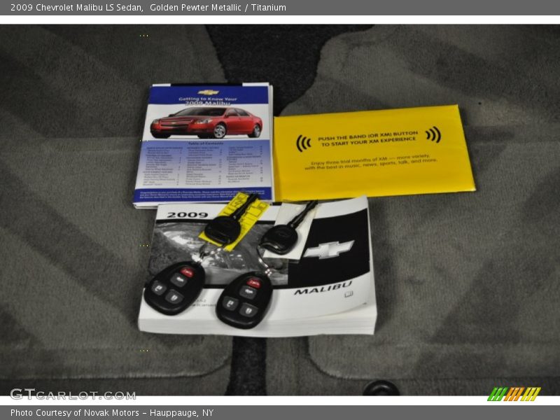 Golden Pewter Metallic / Titanium 2009 Chevrolet Malibu LS Sedan
