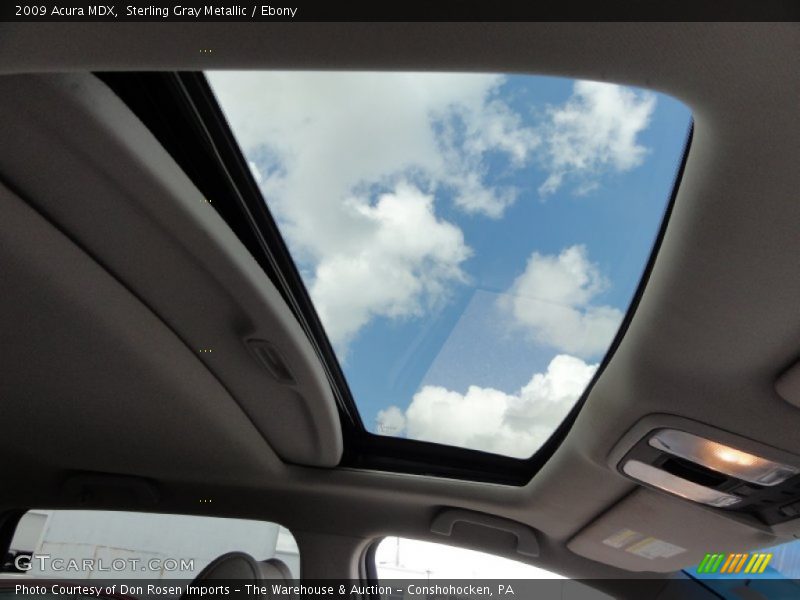 Sterling Gray Metallic / Ebony 2009 Acura MDX