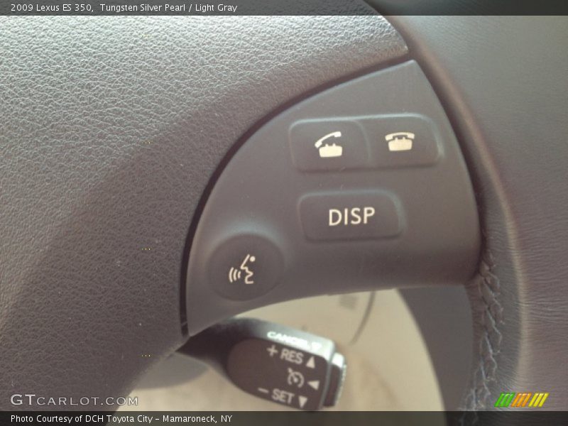 Tungsten Silver Pearl / Light Gray 2009 Lexus ES 350
