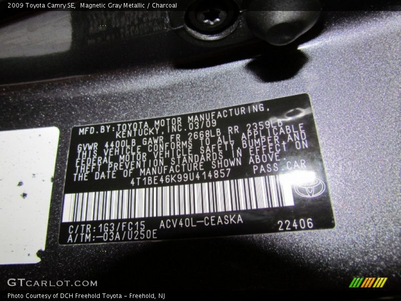 Magnetic Gray Metallic / Charcoal 2009 Toyota Camry SE