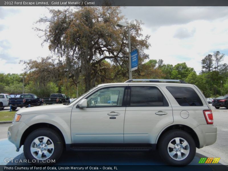 Gold Leaf Metallic / Camel 2012 Ford Escape Limited