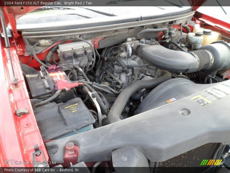 Bright Red / Tan 2004 Ford F150 XLT Regular Cab
