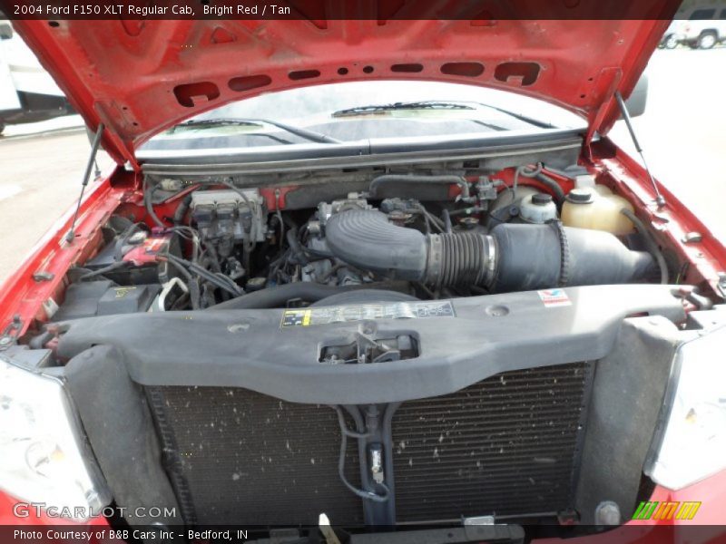 Bright Red / Tan 2004 Ford F150 XLT Regular Cab