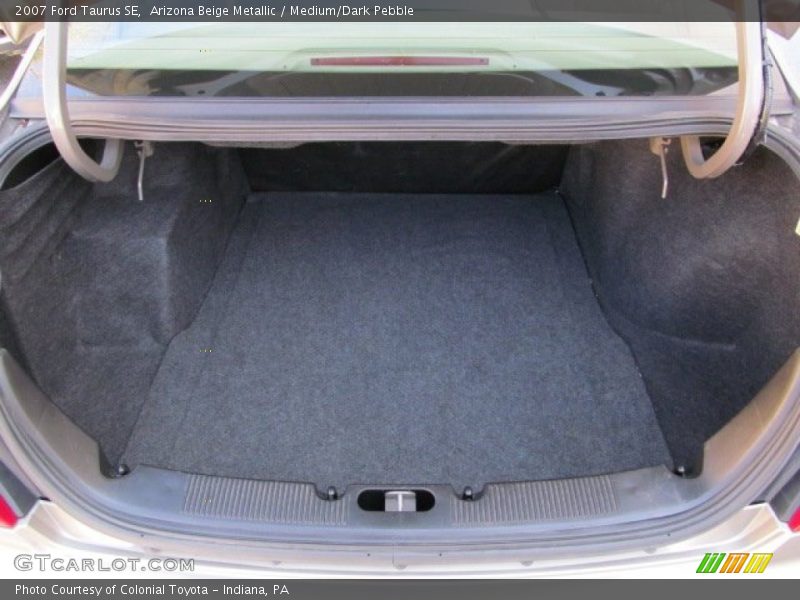 Arizona Beige Metallic / Medium/Dark Pebble 2007 Ford Taurus SE