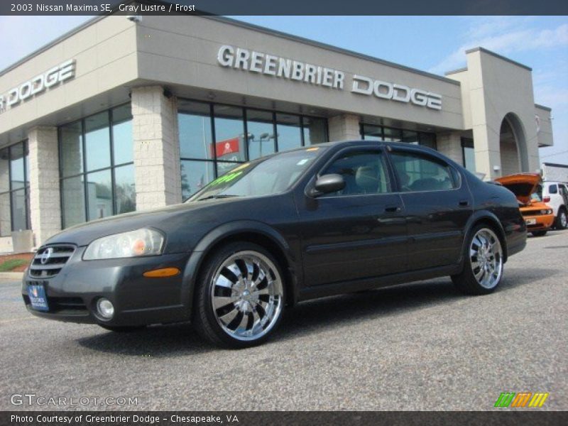 Gray Lustre / Frost 2003 Nissan Maxima SE