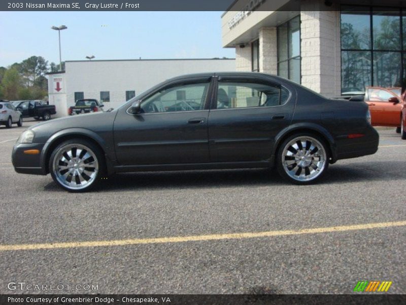 Gray Lustre / Frost 2003 Nissan Maxima SE