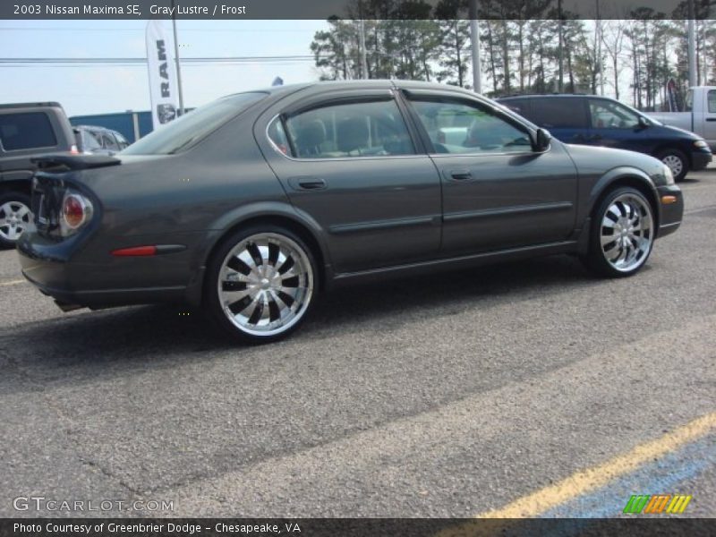 Gray Lustre / Frost 2003 Nissan Maxima SE