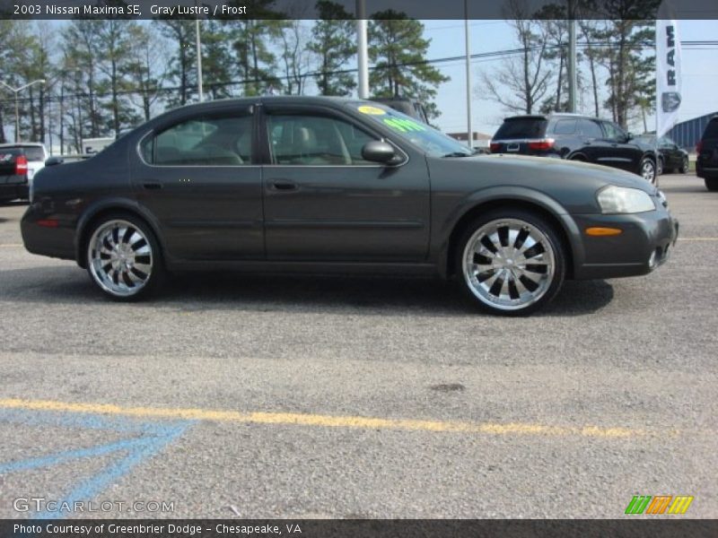 Gray Lustre / Frost 2003 Nissan Maxima SE