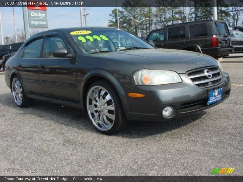 Gray Lustre / Frost 2003 Nissan Maxima SE