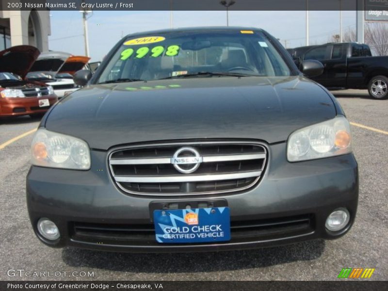 Gray Lustre / Frost 2003 Nissan Maxima SE