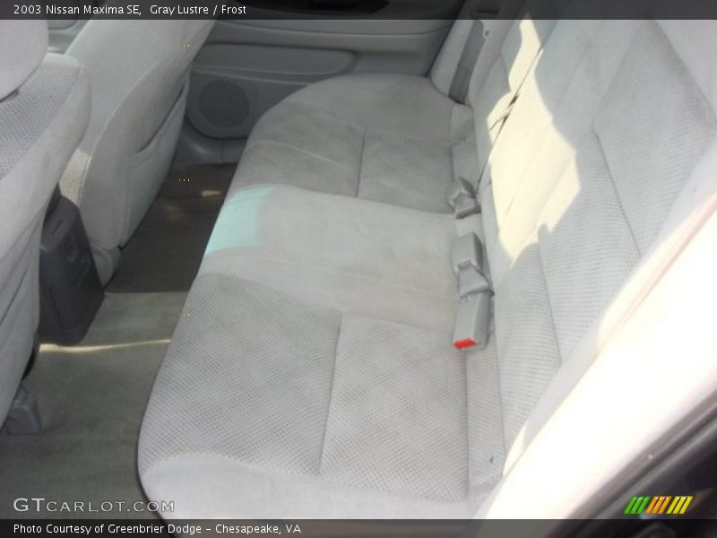 Gray Lustre / Frost 2003 Nissan Maxima SE
