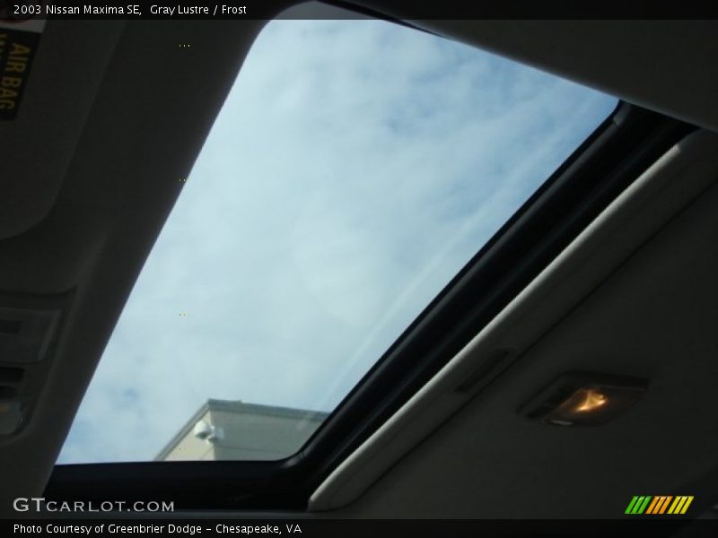 Gray Lustre / Frost 2003 Nissan Maxima SE