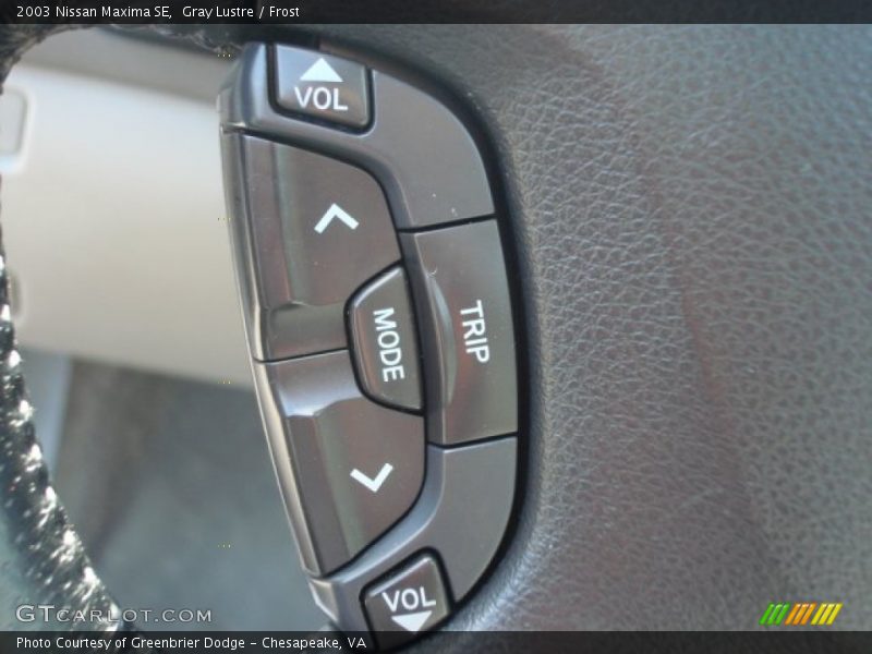 Gray Lustre / Frost 2003 Nissan Maxima SE