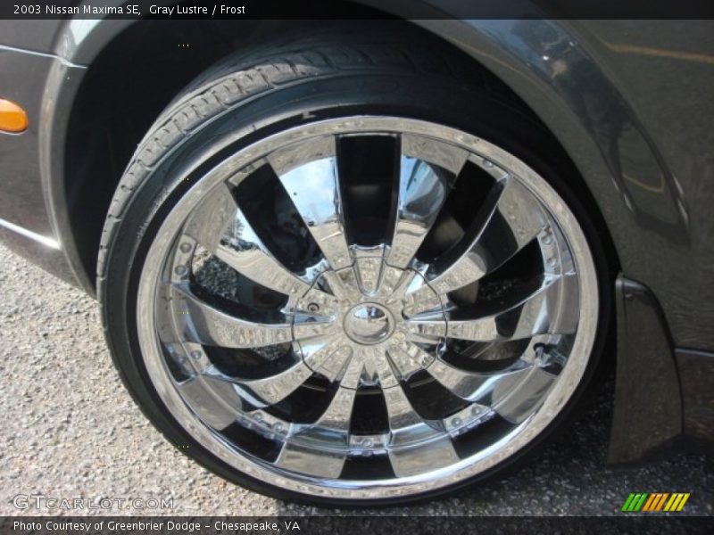 Gray Lustre / Frost 2003 Nissan Maxima SE