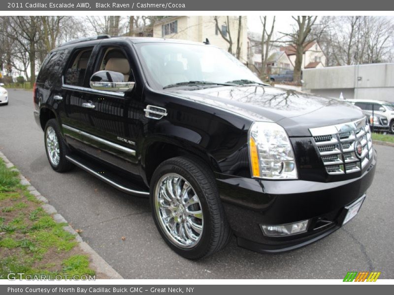 Black Raven / Cashmere/Cocoa 2011 Cadillac Escalade AWD