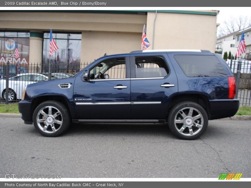 Blue Chip / Ebony/Ebony 2009 Cadillac Escalade AWD
