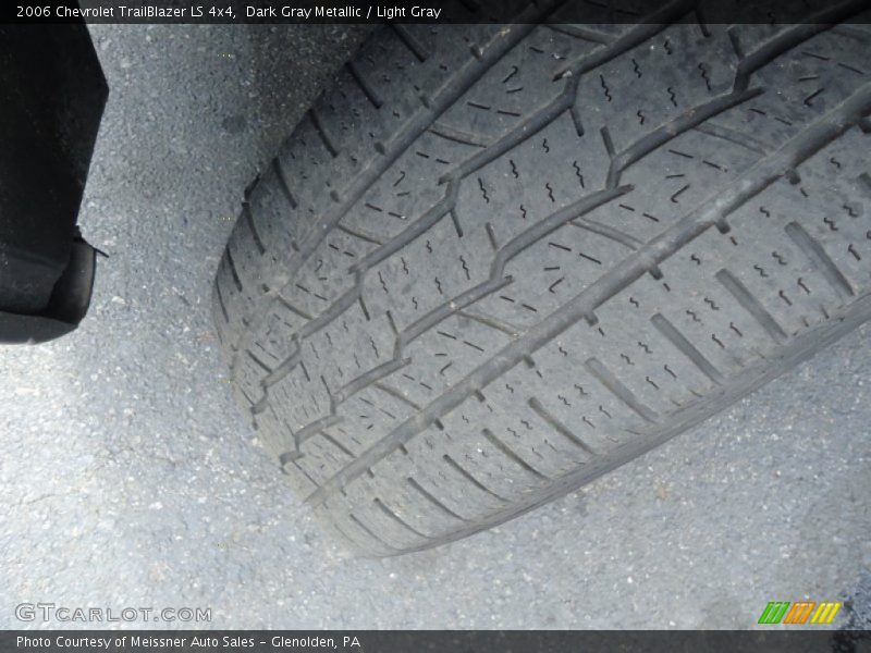 Dark Gray Metallic / Light Gray 2006 Chevrolet TrailBlazer LS 4x4