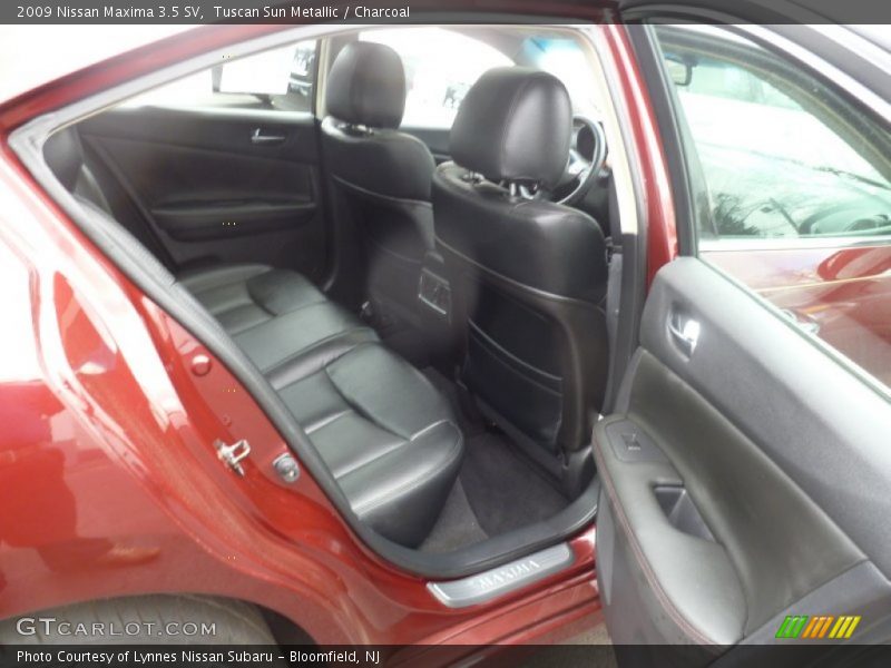 Tuscan Sun Metallic / Charcoal 2009 Nissan Maxima 3.5 SV