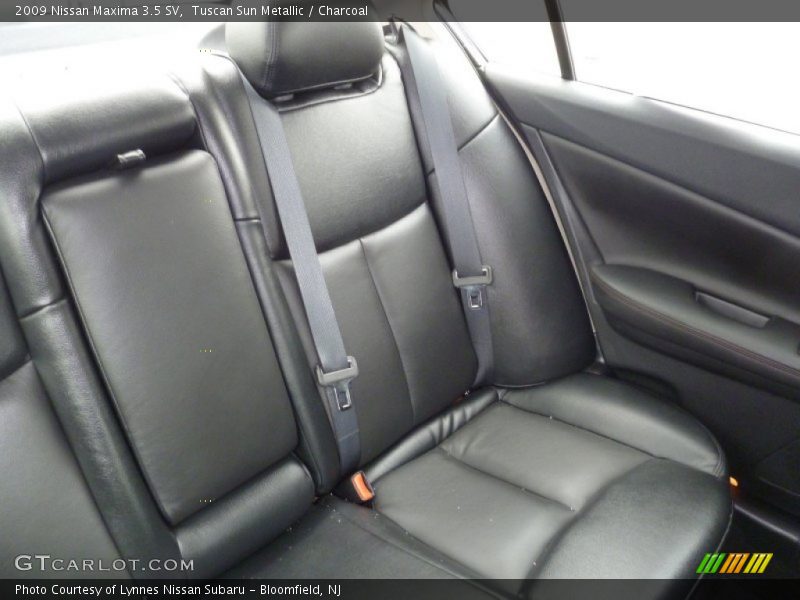 Tuscan Sun Metallic / Charcoal 2009 Nissan Maxima 3.5 SV