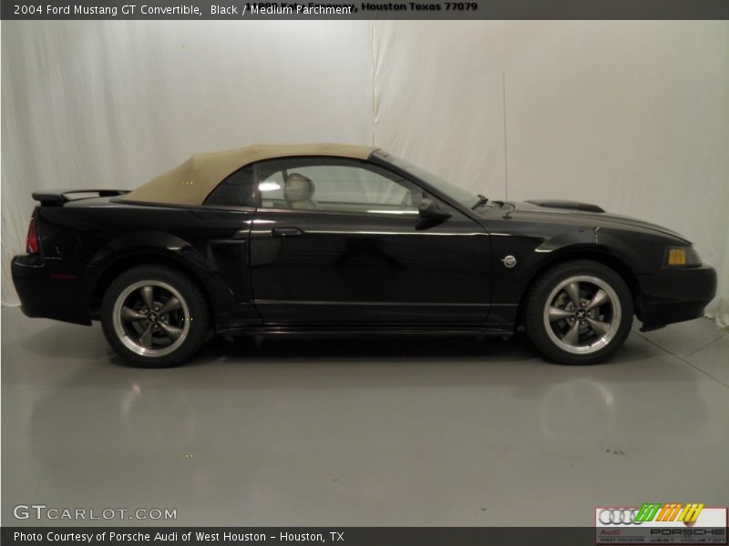 Black / Medium Parchment 2004 Ford Mustang GT Convertible