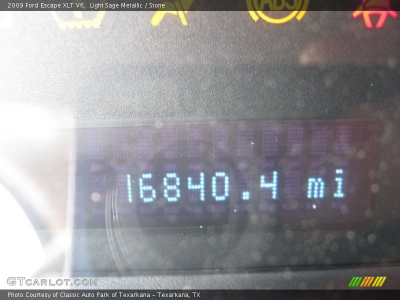 Light Sage Metallic / Stone 2009 Ford Escape XLT V6