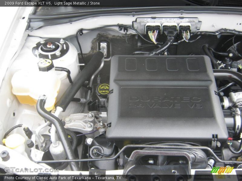 Light Sage Metallic / Stone 2009 Ford Escape XLT V6