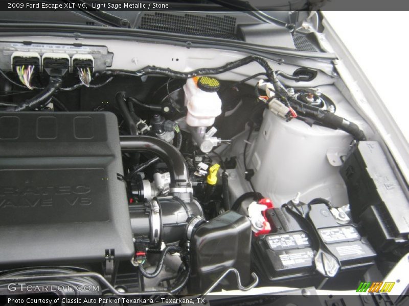 Light Sage Metallic / Stone 2009 Ford Escape XLT V6