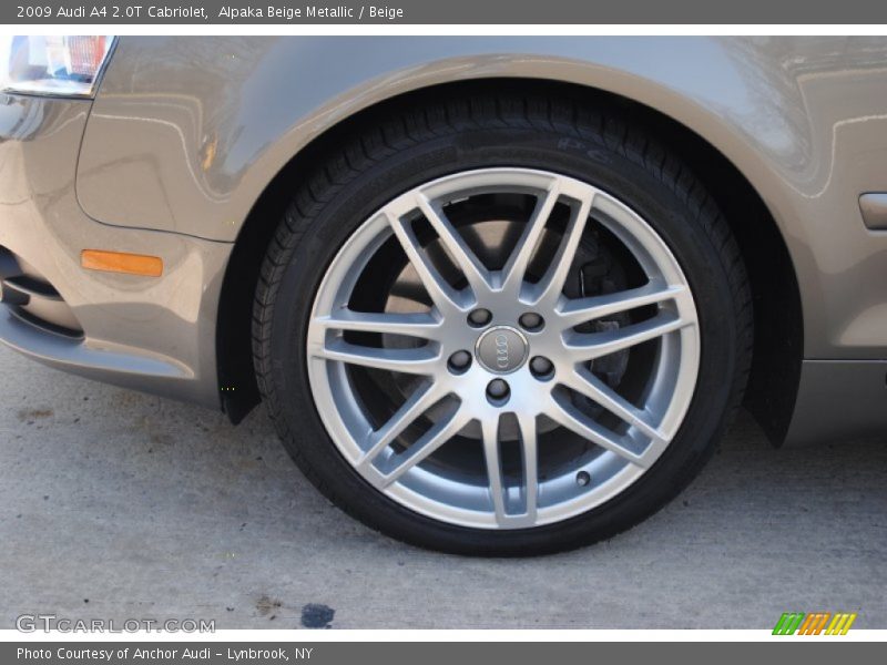 Alpaka Beige Metallic / Beige 2009 Audi A4 2.0T Cabriolet