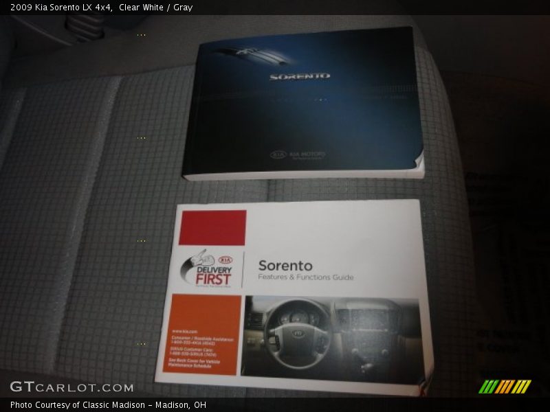 Clear White / Gray 2009 Kia Sorento LX 4x4