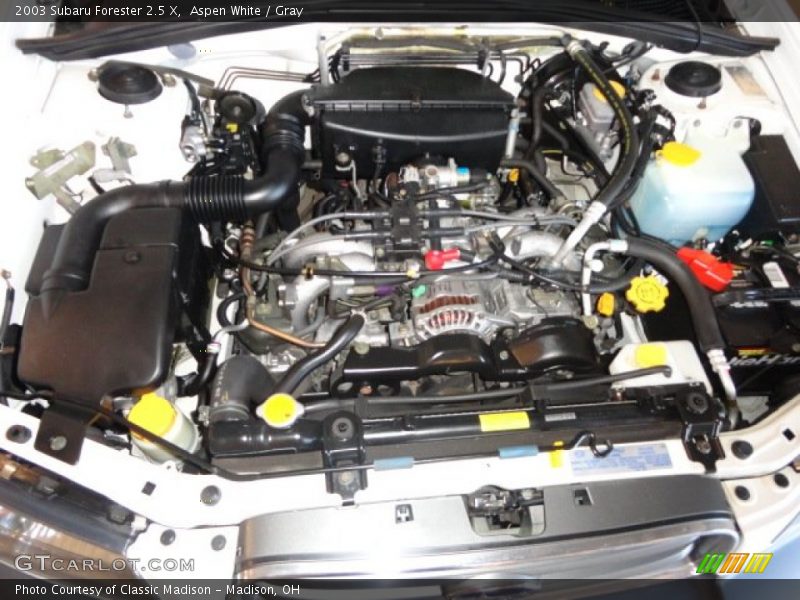 Aspen White / Gray 2003 Subaru Forester 2.5 X