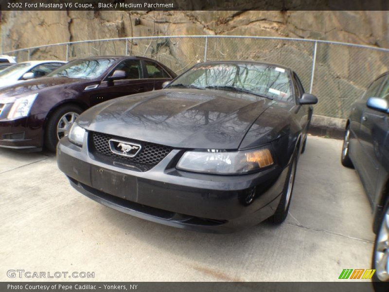 Black / Medium Parchment 2002 Ford Mustang V6 Coupe