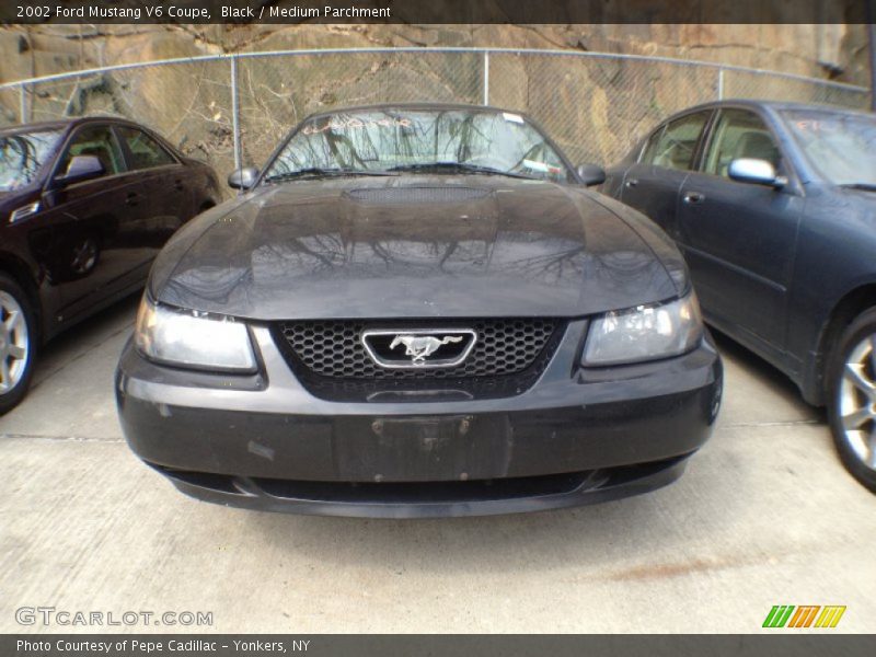 Black / Medium Parchment 2002 Ford Mustang V6 Coupe