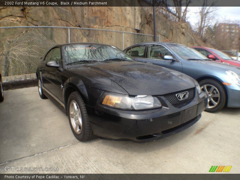 Black / Medium Parchment 2002 Ford Mustang V6 Coupe