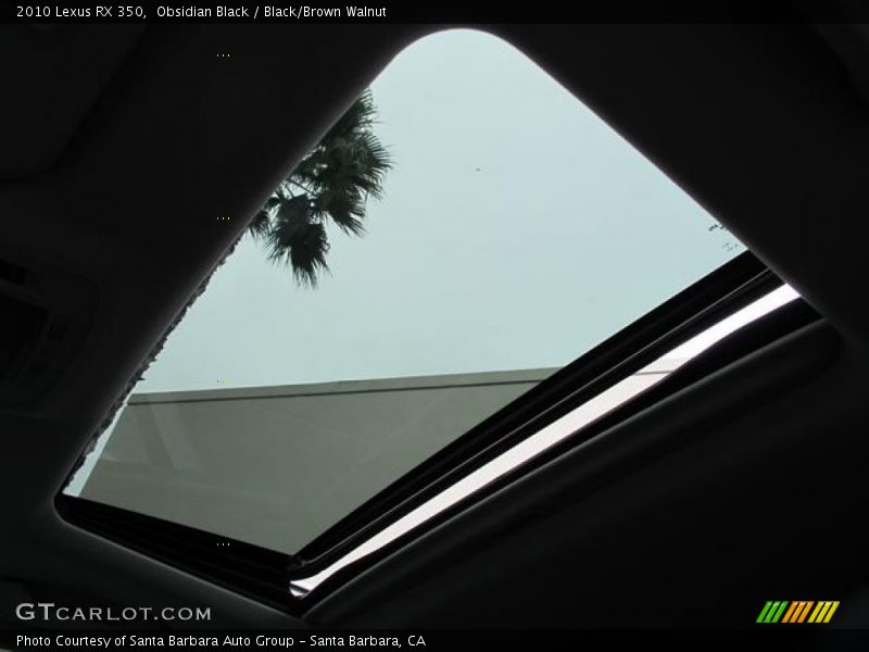 Obsidian Black / Black/Brown Walnut 2010 Lexus RX 350