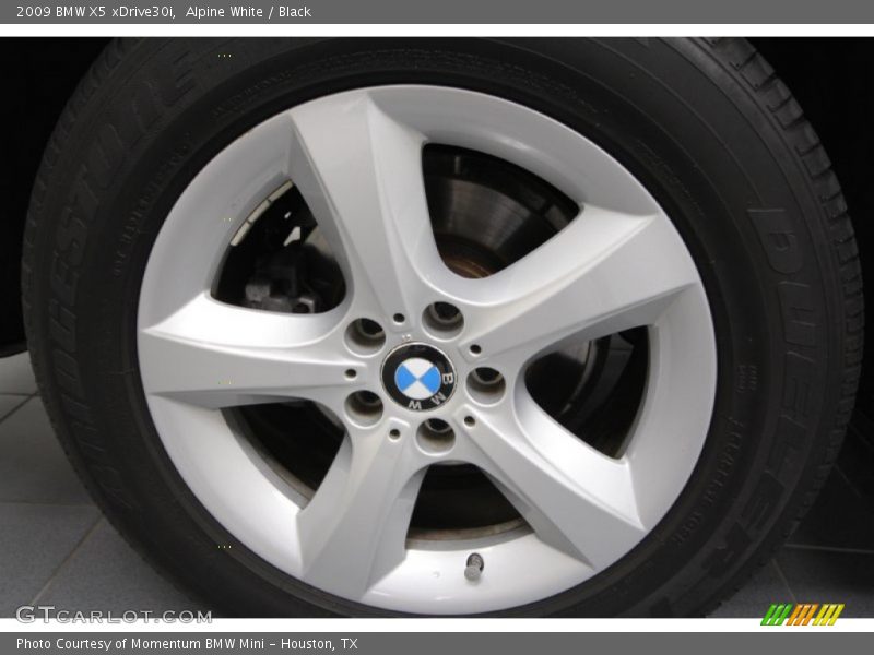 Alpine White / Black 2009 BMW X5 xDrive30i