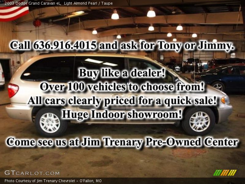 Light Almond Pearl / Taupe 2003 Dodge Grand Caravan eL