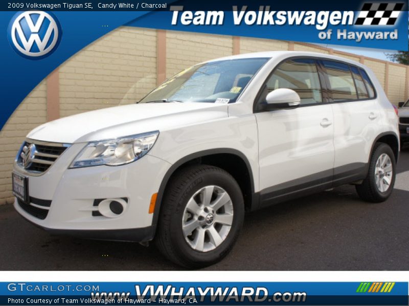 Candy White / Charcoal 2009 Volkswagen Tiguan SE