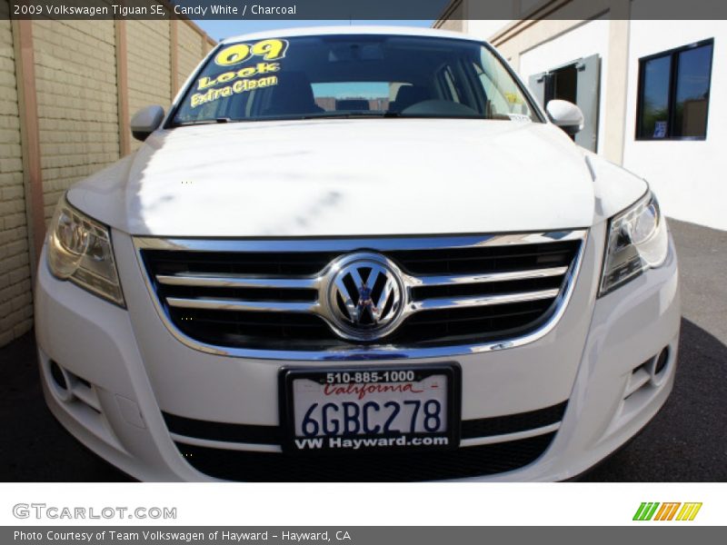 Candy White / Charcoal 2009 Volkswagen Tiguan SE